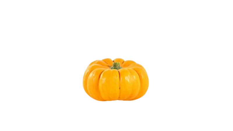 courge mini-jack