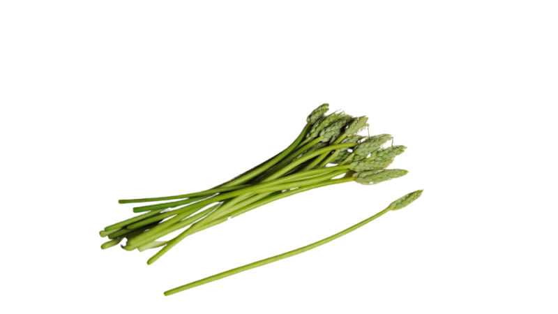 Aspergette