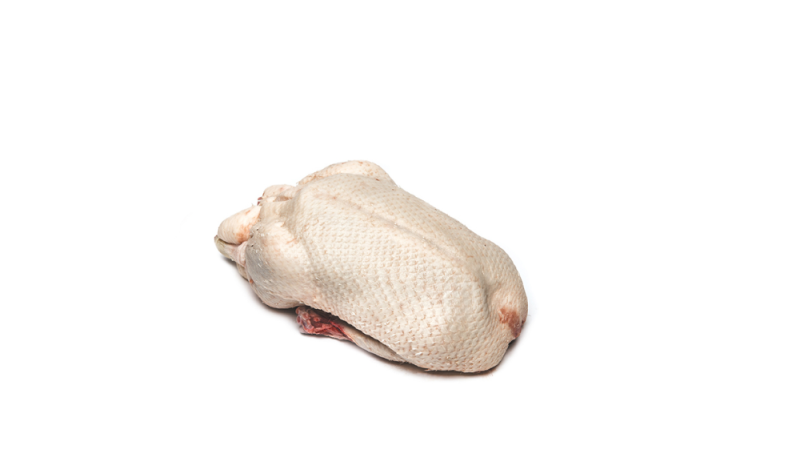 Canette (volaille)
