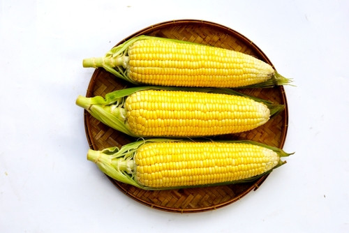 Les 10 légumes d’été les plus caloriques : bien les connaître pour mieux les intégrer à vos repas