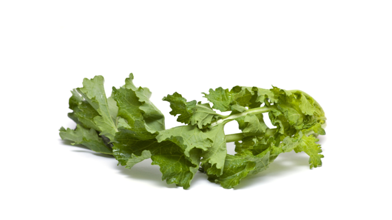 pousse(s) de navets (cime di rapa)