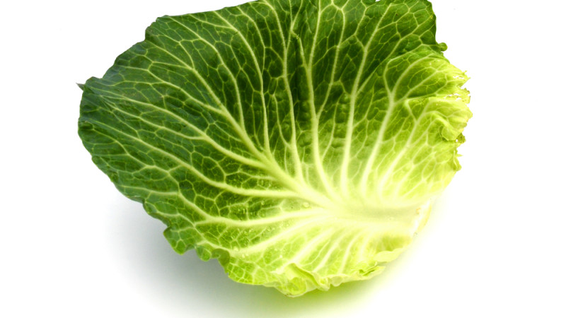 feuille(s) de chou
