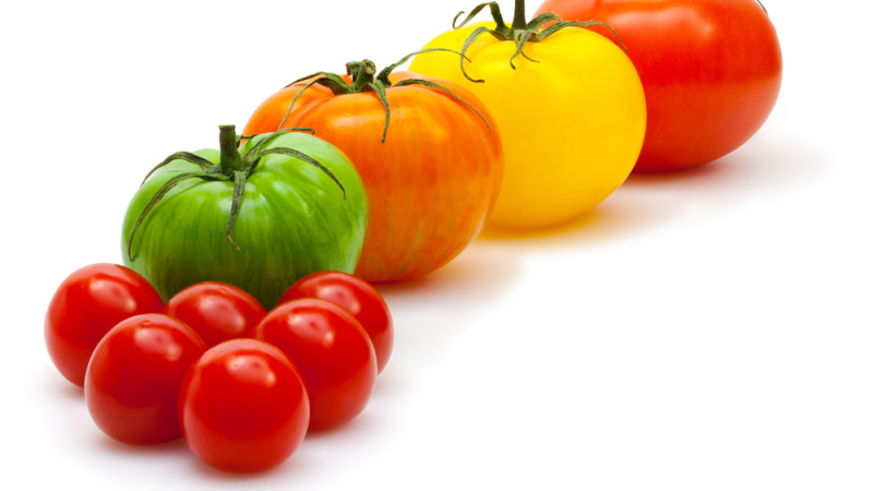 tomate(s) ancienne