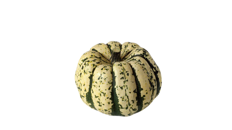 courge(s) patidou