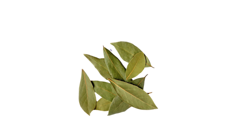 feuille(s) de bois d'Inde