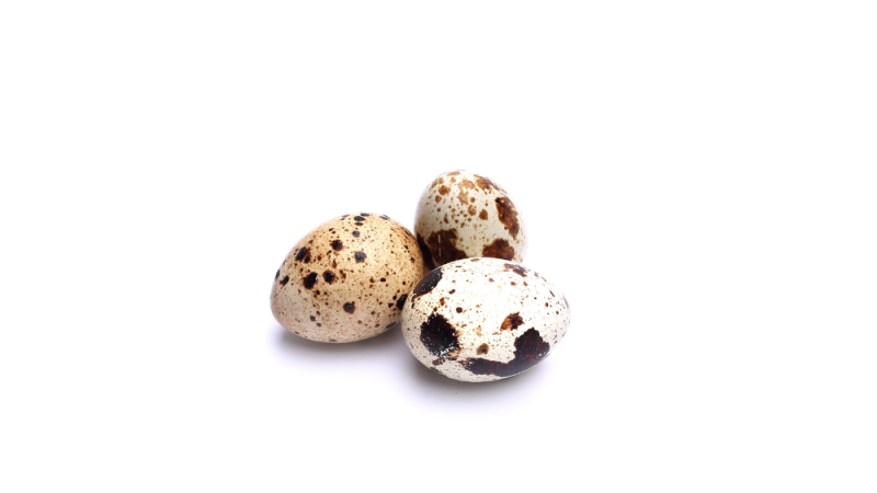 Oeuf(s) de caille