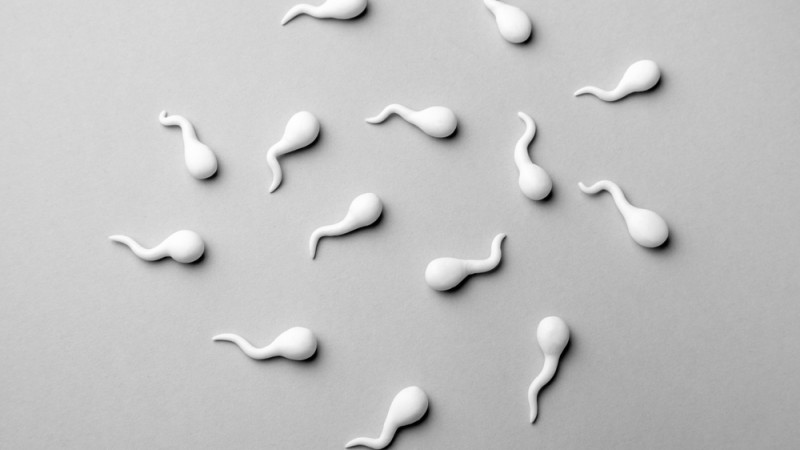 Les bienfaits santé du sperme