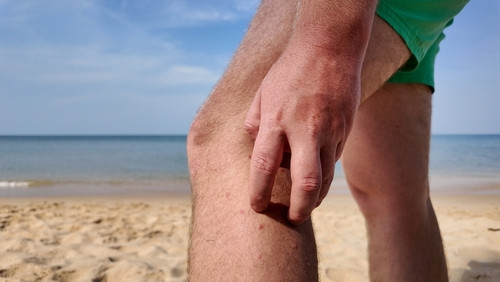 Comment se protéger des puces de sable ?