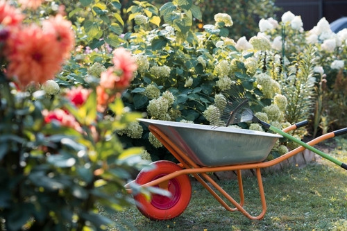 Tout ce qu’il y a à faire dans votre jardin en septembre
