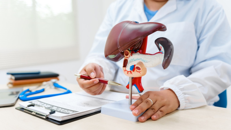 Quelle est l’espérance de vie quand on a un cancer du foie ?