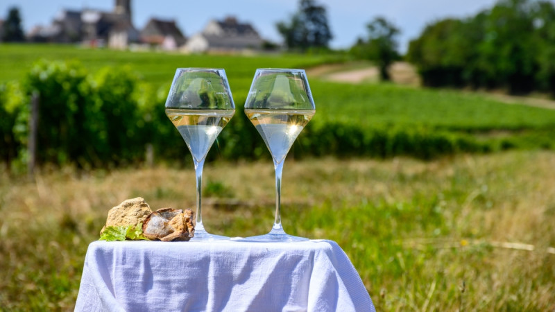 Tout savoir sur les vins de Loire