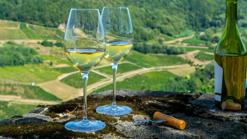 Tout savoir sur les vins du Jura