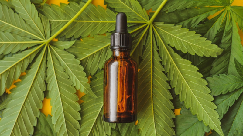 Quelle différence entre le CBD et le cannabis ?