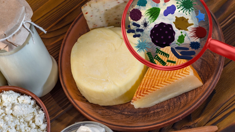 Quels sont les fromages les plus susceptibles d’être contaminés par la listéria ?