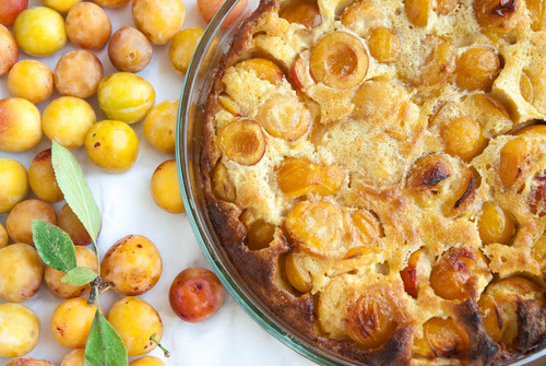 Recette de clafoutis à la mirabelle