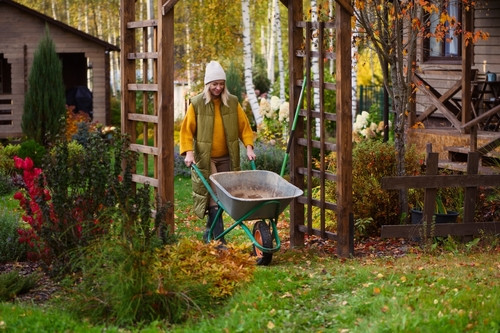 Tout ce qu’il y a à faire dans votre jardin en octobre