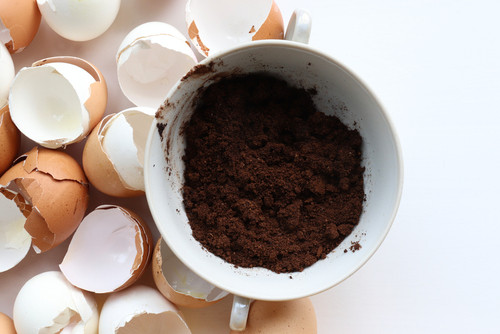 Coquilles d'œufs et café : une astuce méconnue des experts pour sublimer votre boisson matinale