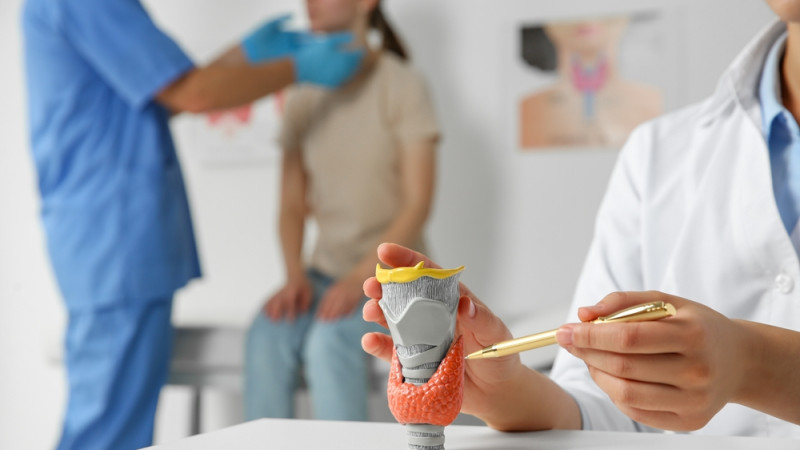 Tout savoir sur l’endocrinologie