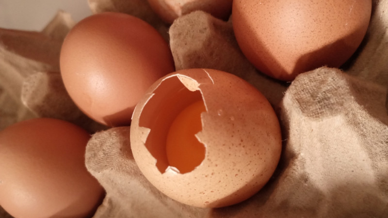 Salmonelle : quels sont les aliments concernés ?