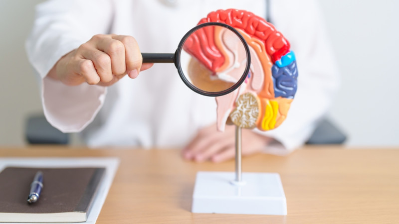 10 signes qui peuvent révéler une tumeur au cerveau