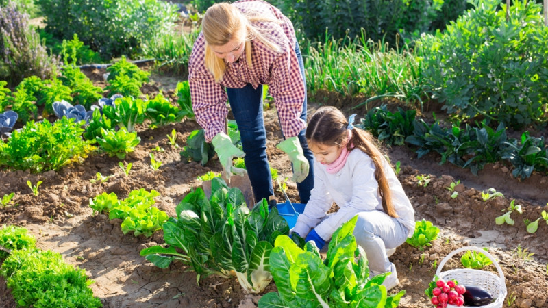 femme et enfant s'occupent du potager 