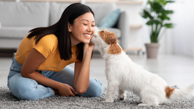 5 aliments à ne jamais partager avec son chien