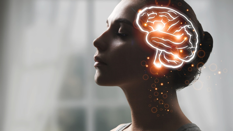 Comment régénérer son cerveau ?