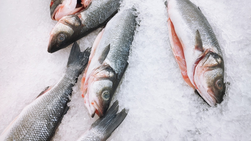 poissons 