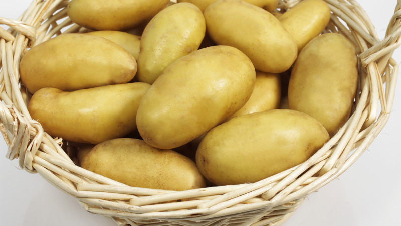 charlotte pomme de terre