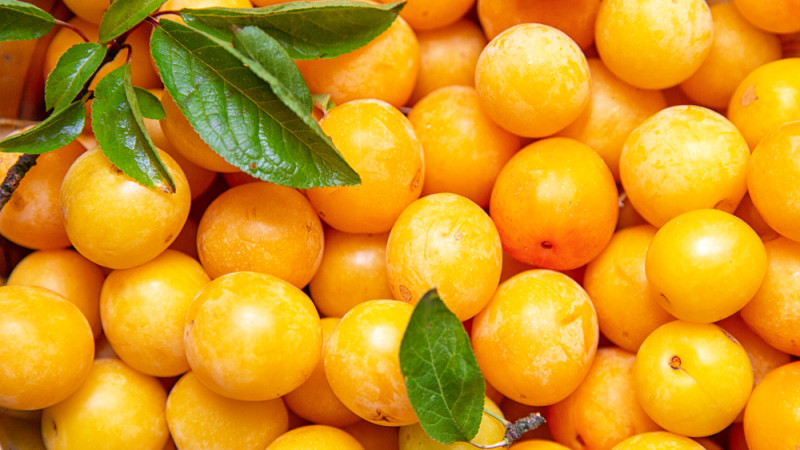 mirabelles