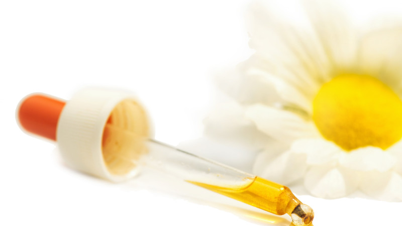 arnica