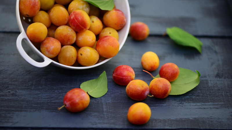 mirabelles