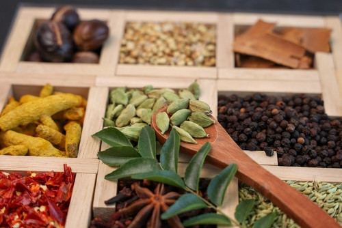 Vrai-Faux sur la cuisine ayurvédique : entre sagesse ancestrale et bien-être moderne