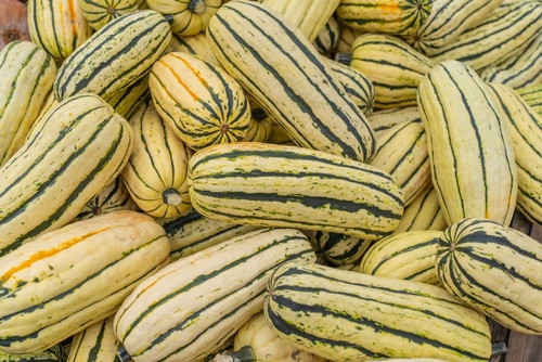Les bienfaits de la courge délicata : le légume doux et méconnu de l’automne