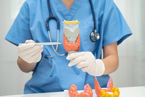 Perte de poids : dans quels cas consulter un endocrinologue est le plus adapté ?