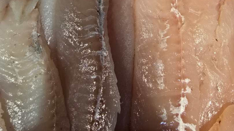 Alerte Rappel – Dos d’églefin : risque d’intoxication alimentaire (azote basique volatil total non conforme)