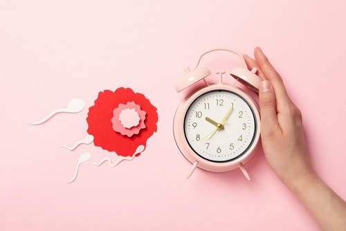 Vrai-Faux sur l’ovulation : 10 idées reçues enfin démêlées par les experts