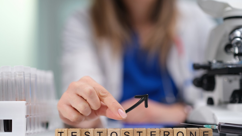 Quel est le rôle de la testostérone ?