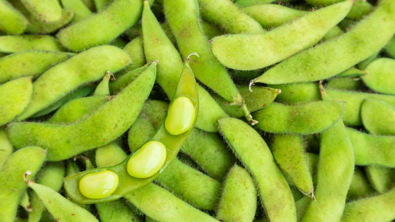 5 bonnes raisons de manger des edamames