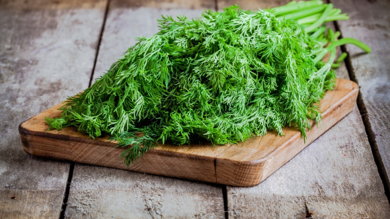 Par quoi remplacer l’aneth dans une recette ?