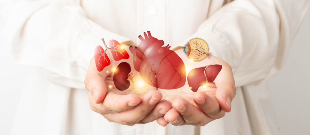 Tout savoir sur le don d’organes