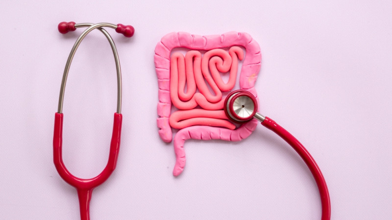 Quel est le rôle des diverticules dans le corps ?