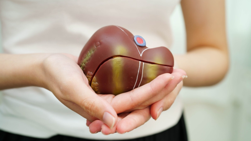 Foie malade : que faut-il manger ?