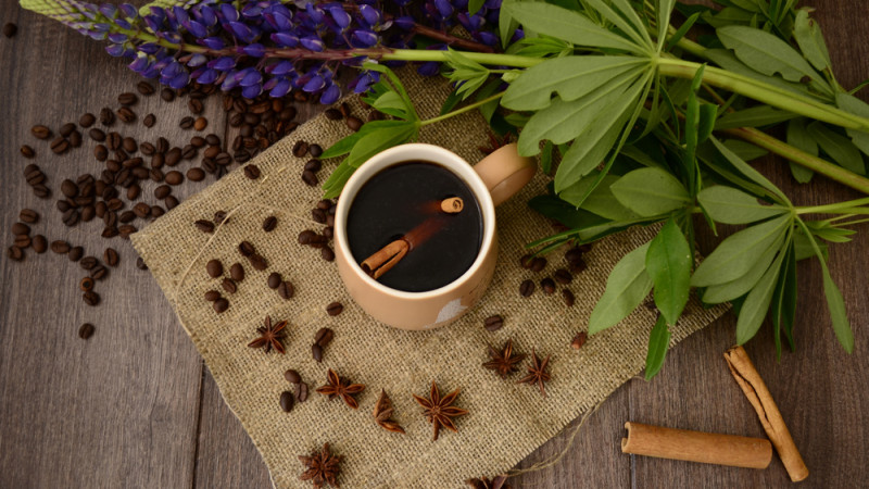 Les bienfaits du café de lupin