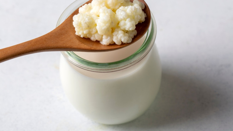 kefir