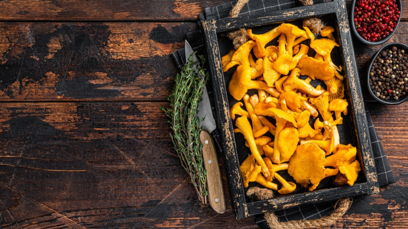 des chanterelles