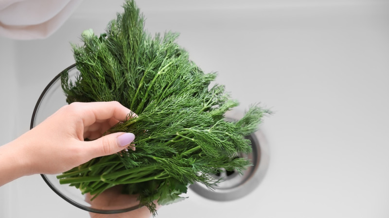 5 bonnes raisons de manger de l’aneth