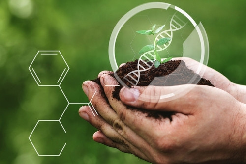 Quels sont les 3 types d’OGM ?