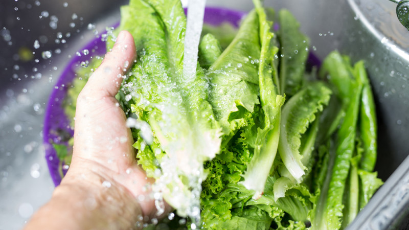 personne qui rince une salade