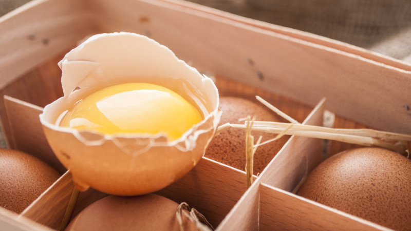 Quels sont les symptômes d’une salmonellose ?